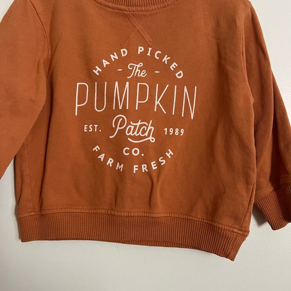 Small Shop Pumpkin Patch Crewneck - Picture 3 of 8
